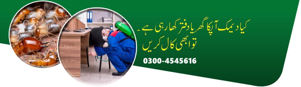 Best Deemak Control in Lahore logo