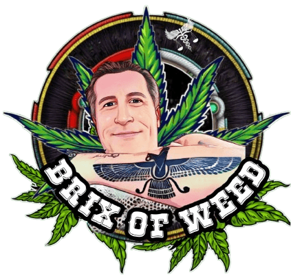 Brix Carlisle logo